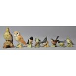 A Collection of Eight Beswick Birds, Varying Condition Issues to Include Grey Wagtail Af etc