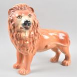 A Late 19th/Early 20th Century Ceramic Study of a Standing Lion, with Glass Eyes, 31cm Wide