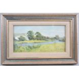 A Framed Watercolour "On the Arun-From Bury" Dated 1906, 22x11cm