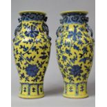 A Pair of 18th/19th Century Chinese Vases Painted in Under Glaze Blue with Floral Sprays with Over