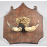 An Edwardian Horn Mounted Wall Hanging Wooden Gong Stand, 32.5cm Wide