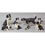 A Collection of Various Resin Border Collie Ornaments (8 in Total)