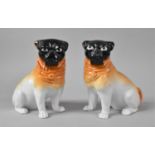 A Pair of Continental Ceramic Seated Pug Dogs, Each 16.5cms High