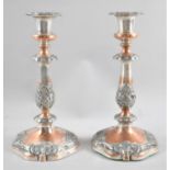 A Pair of Sheffield Plated candlesticks with Hand Stamp to Base Rim, 26cms High