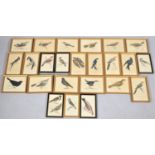 A Large Collection of Small Framed Bird Book Plates, Each 21x15cms