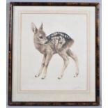 A Framed Myer Eberhart Print, Little Fawn, Signed by the Artist, 26x29cm