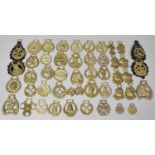 A Collection of Various Horse Brasses