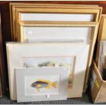 A Collection of Mounted but Unframed Prints, Botanic Prints etc