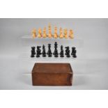 An Edwardian Stained Box Containing Staunton Style Chess Pieces, The Kings 8.5cm high