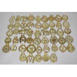 A Collection of Various Horse Brasses