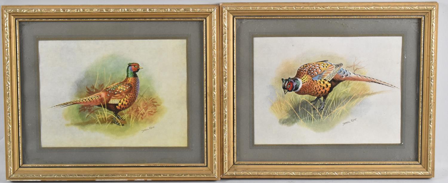 A Pair of Basil Ede Pheasant Prints, Each 19x14cm