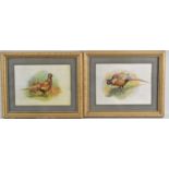 A Pair of Basil Ede Pheasant Prints, Each 19x14cm