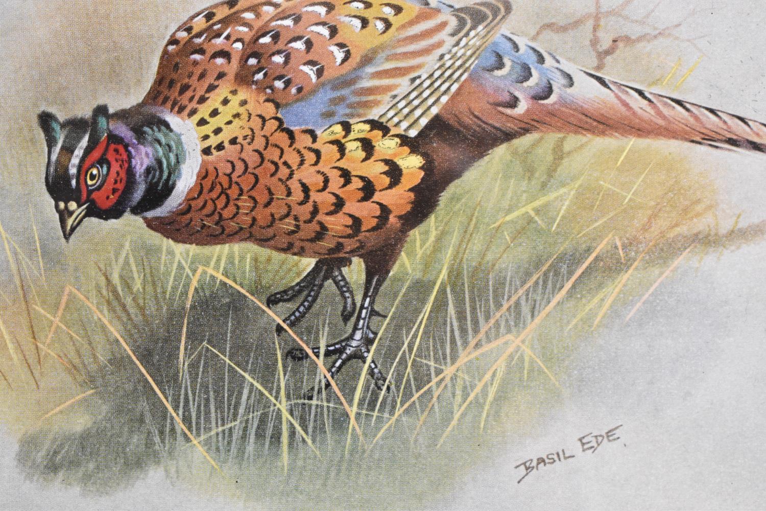 A Pair of Basil Ede Pheasant Prints, Each 19x14cm - Image 3 of 3