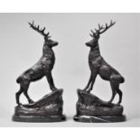 A Pair of Dark Patinated Bronze Studies of Stags Standing On Rocks, Oval Marble Bases, Each 42cm