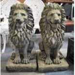 A Pair of Heavy Reconstituted Stone Garden Ornaments, Seated Lions, 72cm high