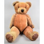 A Vintage Straw Filled Teddy Bear, Paws Worn, 73cm Long