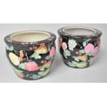 A Pair of Chinese Fish Bowls Decorated with Vines and Fruit in Multi Coloured Enamels on Black