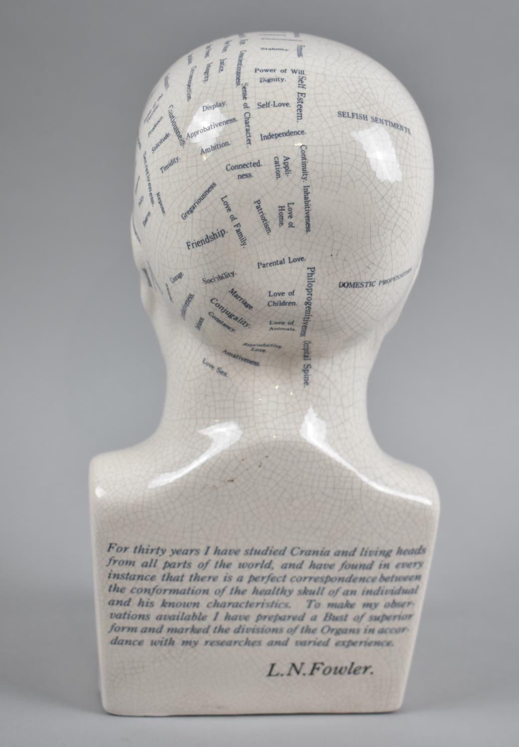 A Reproduction Phrenology Bust, 26.5cms High - Image 3 of 3