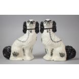 A Pair of Black and White Glazed Staffordshire Dogs, 30cm high
