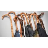 A Collection of Various Vintage Walking Sticks and Umbrellas, 12 in Total