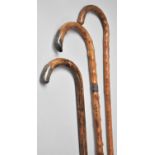 Three Vintage walking Sticks, Two With Silver Mounts