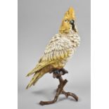 A Reproduction Vienna Style Cold Painted Bronze Study of a Parrot on Branch, 30cm high