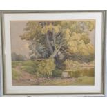 A Framed George Cooper Watercolour Depicting Trees Beside Pond, 41x32cm