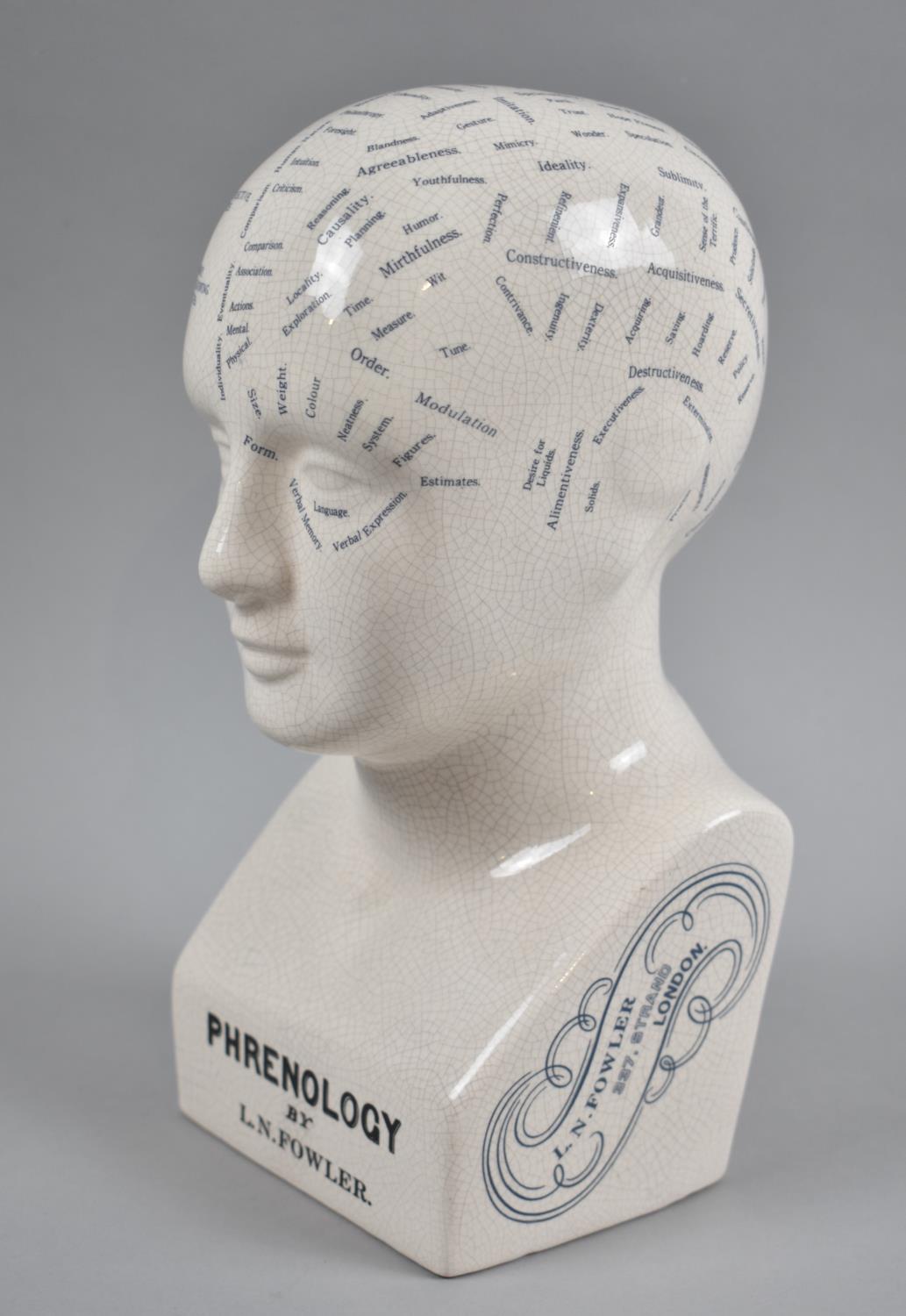 A Reproduction Phrenology Bust, 26.5cms High - Image 2 of 3