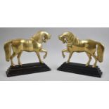 A Pair of Late 19th Century Brass Fireside Ornaments in the Form of Horses on Stepped Ebonised