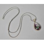 A Silver Mounted Polished Semiprecious Stone Pendant on a 70cm Silver Chain