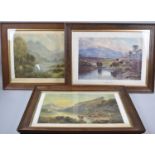 A Collection of Three Oak Framed Highland Cattle Prints, Each Frame 65x50cm