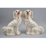 A Pair of Edwardian Large Staffordshire Dogs, 30cm high