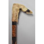 A Turkish 1940's Walking Stick with Antelope's Hoof Handle ?nscribed Devrek Hatirasi Zonguldak