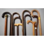 A Collection of Ten Mid/Late 20th Century Walking Sticks