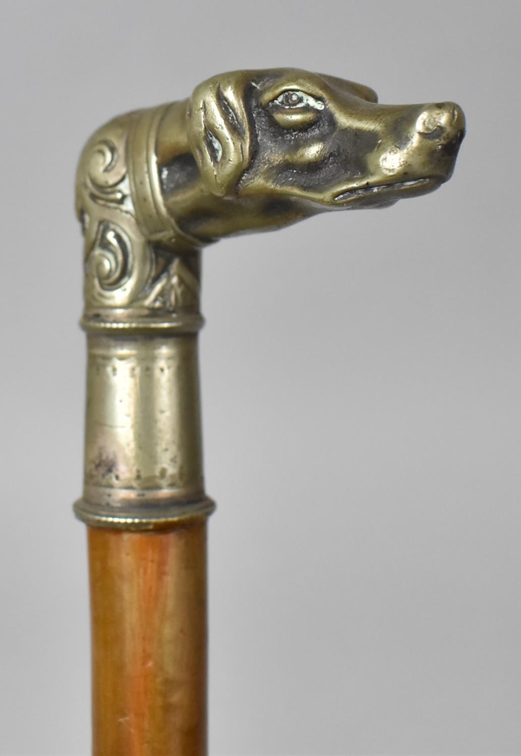 A 19th Century Walking Stick with a White Metal Handle Modelled as a Hunting Dog, 86cm Long