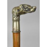 A 19th Century Walking Stick with a White Metal Handle Modelled as a Hunting Dog, 86cm Long