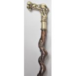 A 19th Century Walking Stick with a White Metal Handle Modelled as a Sleeping Cherub, 88cm long