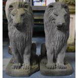 A Pair of Large Heavy Reconstituted Stone Garden Seated Lions on Rectangular Plinth, One with Loss