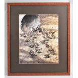 A Framed Terance James Bond Bird Print, Sparrows, 32x40cm