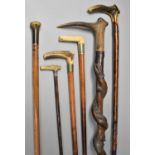 A Group of Six 19th Century Walking Sticks and Canes with Carved Antler Handles, The Longest 108cm