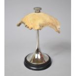 An Early 20th Century Art Deco Doctors Desk Ornament Formed From a Piece of Human Skull Mounted on