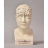 A Modern Advertising Desktop Phrenology Bust for Neurolink, 15cm high