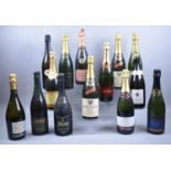 A Collection of 13 Bottles of Sparkling Wine to include Freixenet, Cava, Vouvray Etc