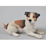 A Border Fine Art New Jack Russell Terrier, no BO498A, 10cm Long