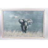 A Framed David Shepherd Print, Wise Old Elephant, 74x49cm