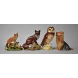 A Coalport Fox Ornament, Sylvac Terrier, Beswick Whyte and Mackay Owl Decanter (empty) and a Poole