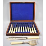 An Edwardian Mahogany Cased Set of Six Bone Handled Fish Knives and Forks Together with a Pair of