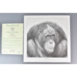 David Dancey-Wood Two Limited Edition Pencil Signed Lithograph Prints