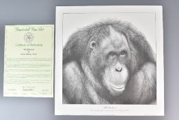 David Dancey-Wood Two Limited Edition Pencil Signed Lithograph Prints