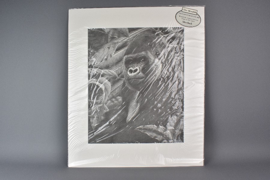 Clive Meredith Limited Edition Print - Silverback